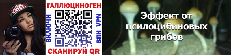купить   Старый Крым  Галлюциногенные грибы мицелий 