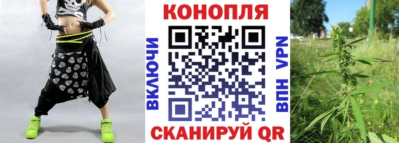 Бошки Шишки сатива  магазин продажи   Старый Крым 